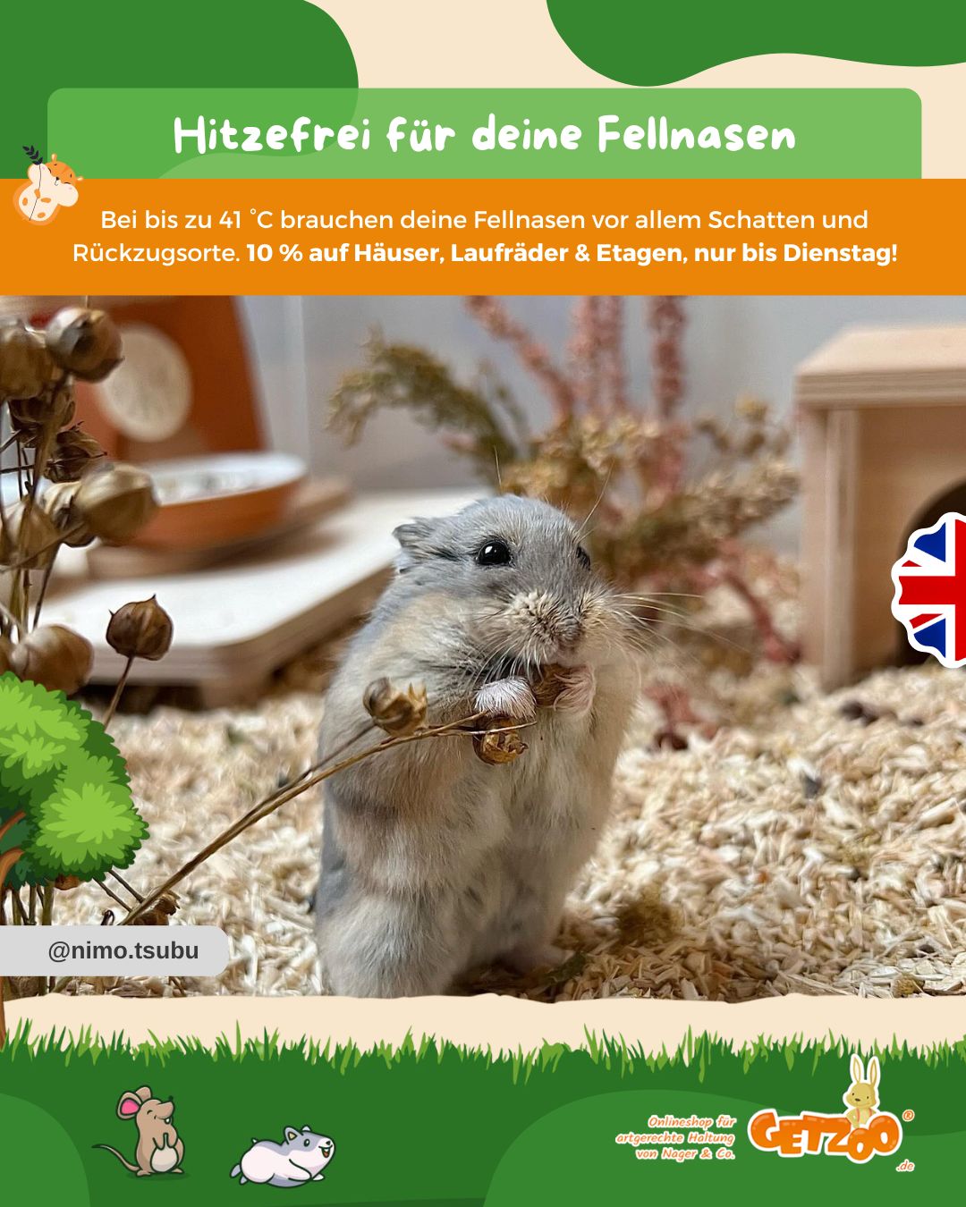 ☀️ Hitzefrei für deine Fellnasen
Bei bis zu 41 °C brauchen deine Fellnasen vor allem Schatten und Rückzugsorte. Unsere h