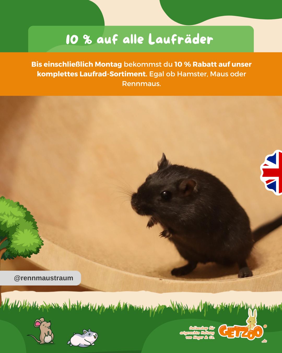 🐹 10 % auf alle Laufräder – nur bis Montag!

Bewegung hält kleine Nager fit und glücklich – und ein gutes Laufrad gehört