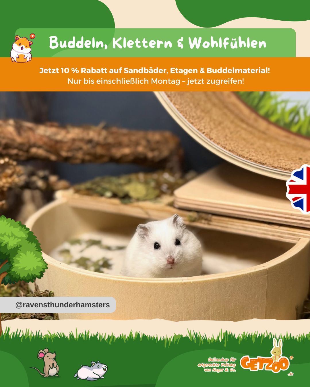 🐹 Buddeln, Klettern & Wohlfühlen – jetzt 10 % sparen!
Gönnt euren kleinen Fellnasen etwas Abwechslung: Mit unseren Sandb