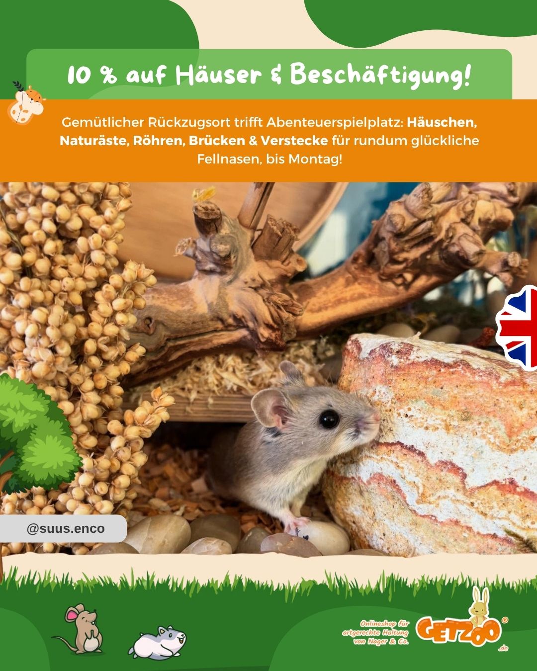 🏡 10 % auf Häuser & Beschäftigung!
Gemütlicher Rückzugsort trifft Abenteuerspielplatz: Häuschen, Naturäste, Röhren, Brüc