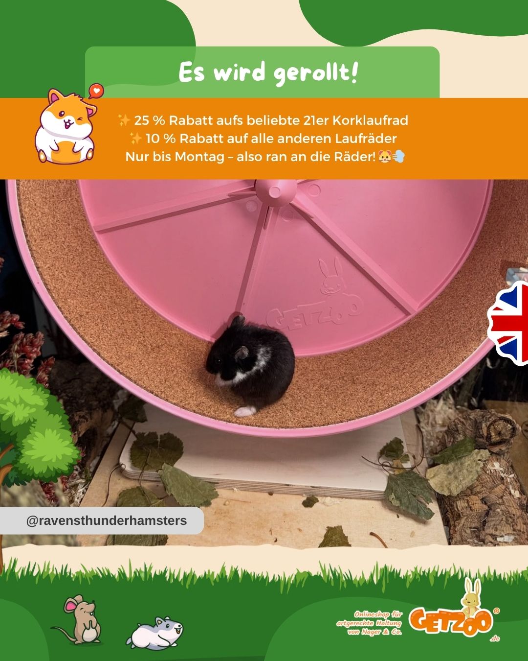 🎡 Wochenend-Wahnsinn: Es wird gerollt!
Deine Kleinen lieben es, ihre Runden zu drehen? Bei uns drehen wir bis einschließ