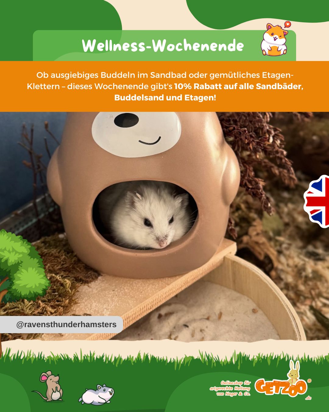 🛁✨ Wellness-Wochenende für eure Fellnasen! ✨🛁
Ob ausgiebiges Buddeln im Sandbad oder gemütliches Etagen-Klettern – diese