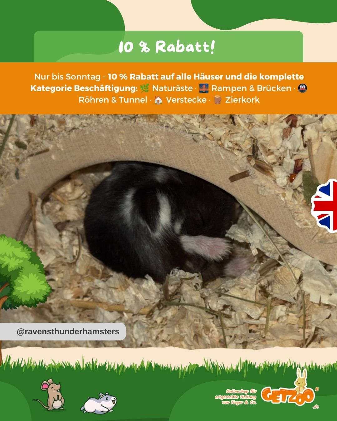 Nur bis Sonntag! 10 % Rabatt auf alle Häuser und die komplette Kategorie Beschäftigung: 🌿 Naturäste · 🌉 Rampen & Brücken