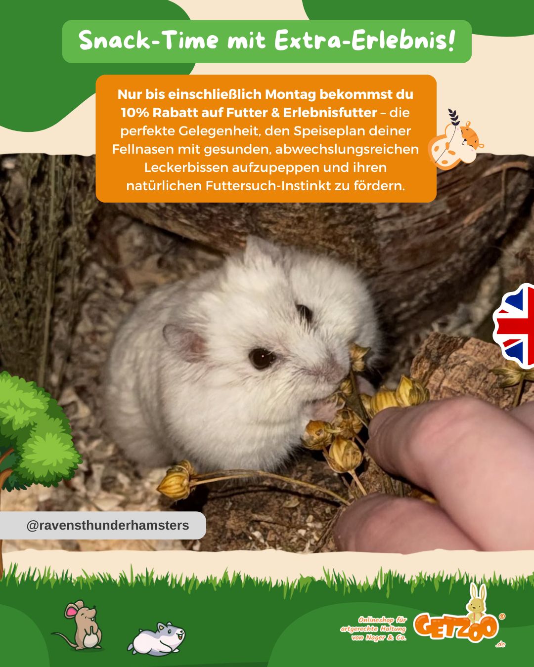 Snack-Time mit Extra-Erlebnis! 🐹✨
Mit unserem hochwertigen Futter und Erlebnisfutter wird jede Mahlzeit zur kleinen Entd