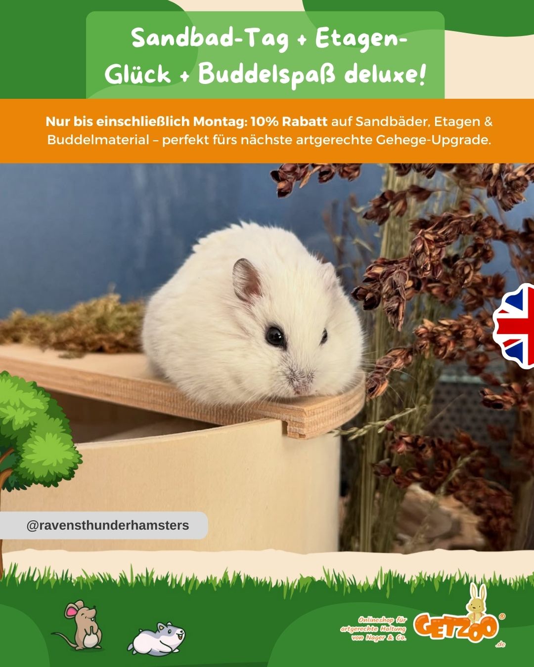 Sandbad-Tag + Etagen-Glück + Buddelspaß deluxe! 🐹🤍
Ein Sandbad gehört für viele Nager einfach dazu – für Fellpflege, Woh