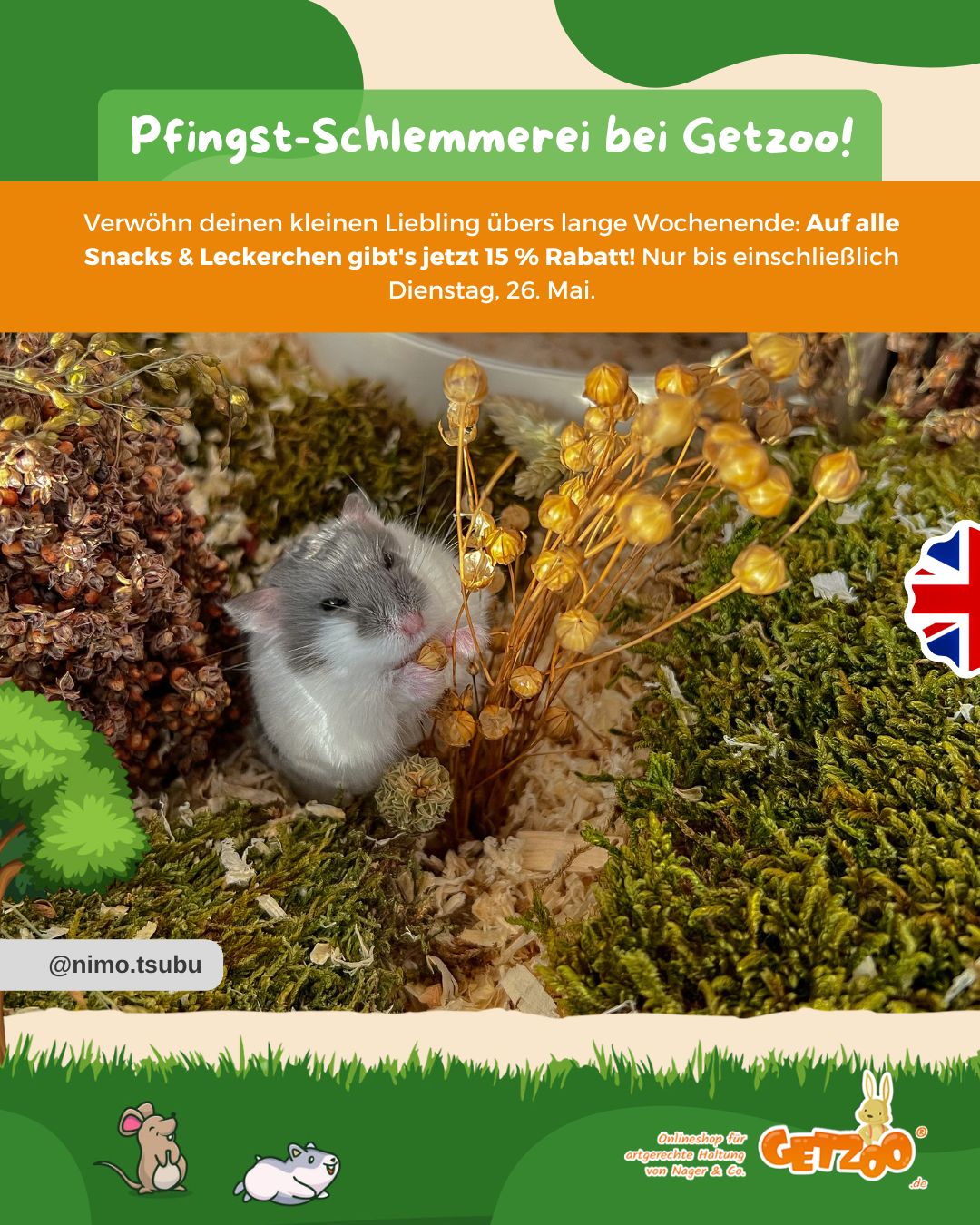 🌿 Pfingst-Schlemmerei bei Getzoo! 🐹
Verwöhn deinen kleinen Liebling übers lange Wochenende: Auf alle Snacks & Leckerchen